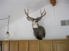 Randall-Wyoming-016